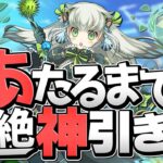 トリスとアンフロイ狙いで大罪龍ガチャ！神引き過ぎて人生勝ち組【パズドラ】