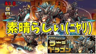 【ラードラゴン降臨】程よくイジメてくるぢゃん【パズドラ実況】