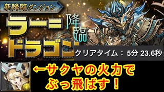 【ラードラ降臨】超安定攻略！誰でも勝てます。【パズドラ】