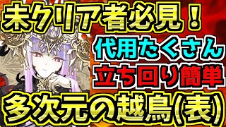 【絶対勝たせる】最新ラフィーネ編成！多次元の越鳥！代用たくさん！立ち回り簡単！【パズドラ】