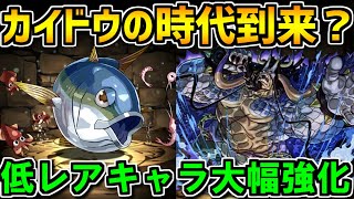 カイドウのサブが充実！10周年パワーアップで低レアキャラが多数強化決定！【パズドラ】