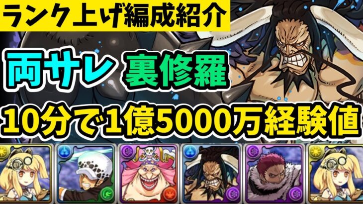 【ランク上げ】ソロ両サレ裏修羅カタクリ編成が快適すぎて凄い！1周10分で1億5000万経験値貰えます！【パズドラ】【ワンピースコラボ】