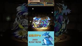 [パズドラ]  広告ガチャ　2022/8/21〜8/31