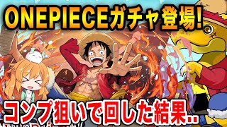 ワンピースコラボ開催!!!ガチャキャラ28体のコンプを狙って回していきます!!!【パズドラ】【ONEPIECE FILMRED】