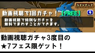 【パズドラ】動画視聴ガチャ3度目の★7フェス限ゲット！