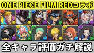 ワンピースコラボ☆6の当たりキャラ&確保おすすめキャラ解説！絶対に確保しなければならないキャラがいます！みんな本当に強い！【パズドラ】