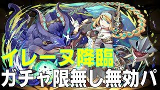 イレーヌ降臨 ガチャ限無し無効パ攻略編成(パズドラ/パズル&ドラゴンズ/PUZZLE&DRAGONS)