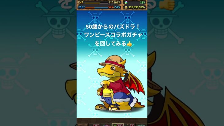 【パズドラ】ワンピースコラボガチャを回してみた#shorts ＃ワンピース＃ガチャ