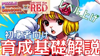 【パズドラ】エクストラ強化って何？初心者向けキャラ育成の基礎解説！（コメ欄追記）【ワンピースコラボ】