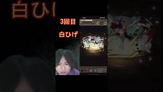 パズドラのワンピースのガチャを引いてみた！