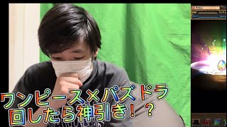 ワンピース×パズドラコラボ来たー#ワンピース #パズドラ #ガチャ動画