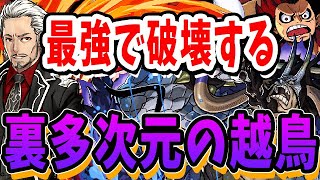 【裏多次元】木ユリシャの耐久不要じゃんw マリウスとルフィが最強すぎる！！【パズドラ実況】