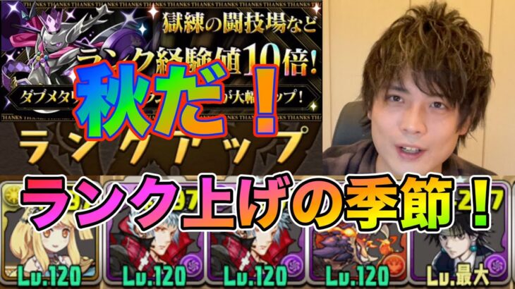 【パズドラ10周年】ついにサブ垢ランク1000へ！このタイミングは逃せない神イベント！