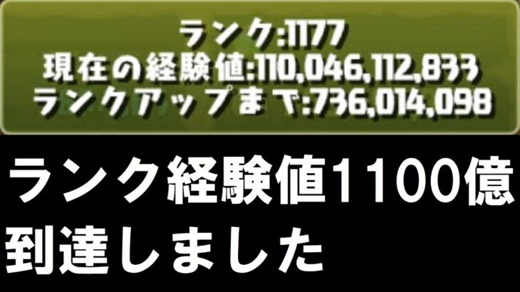 【パズドラ】ランク経験値1100億到達しました