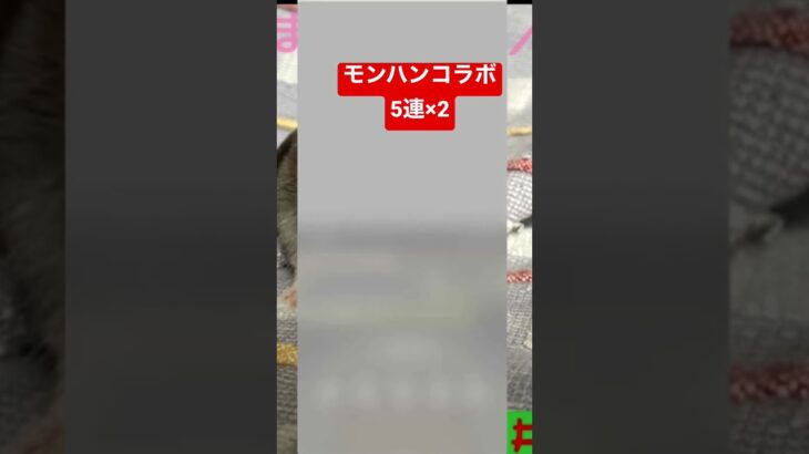 パズドラモンハンコラボ 5連続ガチャ2回引いてみるやつ