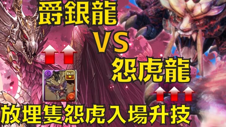 PAD パズドラ 爵銀龍 VS 怨虎龍 ！打完你仲要放埋你入隊升技？緊急任務