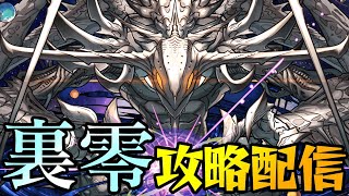 【パズドラ】裏零次元の創造主攻略配信！！The Final【初見さん大歓迎】