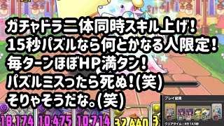 二体同時スキル上げ！ガチャドラプリン降臨！【パズドラ】