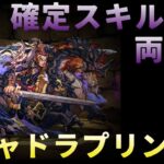 【パズドラ】ガチャドラプリン降臨！確定スキル上げ【両対応】