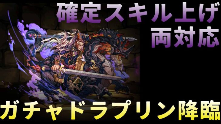 【パズドラ】ガチャドラプリン降臨！確定スキル上げ【両対応】