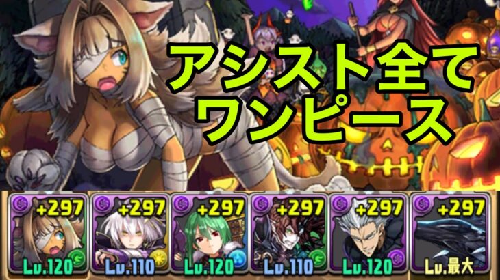 【ハロウィンコロシアム】ハロウィンチャコル×ブラックバードで安定攻略【パズドラ】