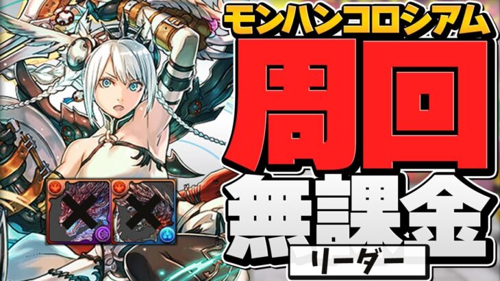 無課金リーダーで激ウマ報酬ゲット！周回編成２パターン！モンスターハンター重要調査クエスト コロシアム【パズドラ】