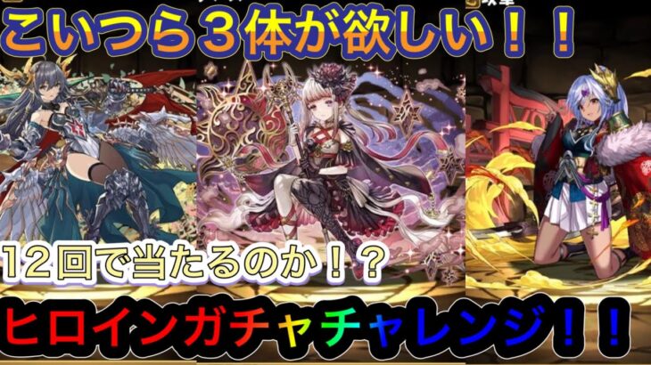 【パズドラ】ヒロインガチャで新キャラ3体を狙う！？ヒロインガチャチャレンジ！！