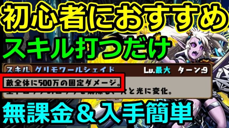 初心者必見！メリッサを使ったポチポチ周回編成！簡単な入手方法も紹介！【パズドラ】