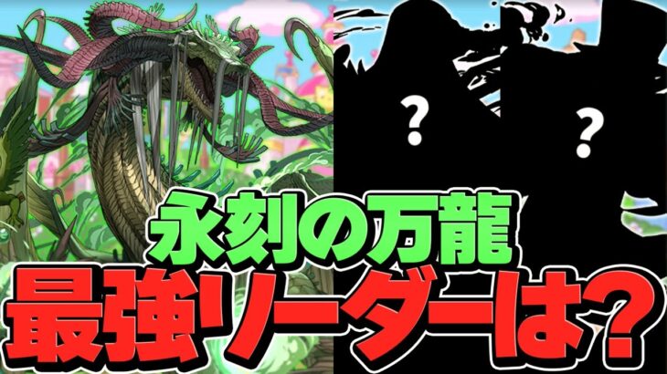 万寿最強リーダーは誰？初見攻略は誰がおすすめ？新最難関ダンジョン予想してみた！【パズドラ】