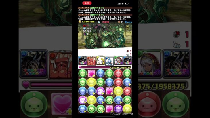 万寿チャレンジ　カイドウパーティ　永刻の万龍　#パズドラ