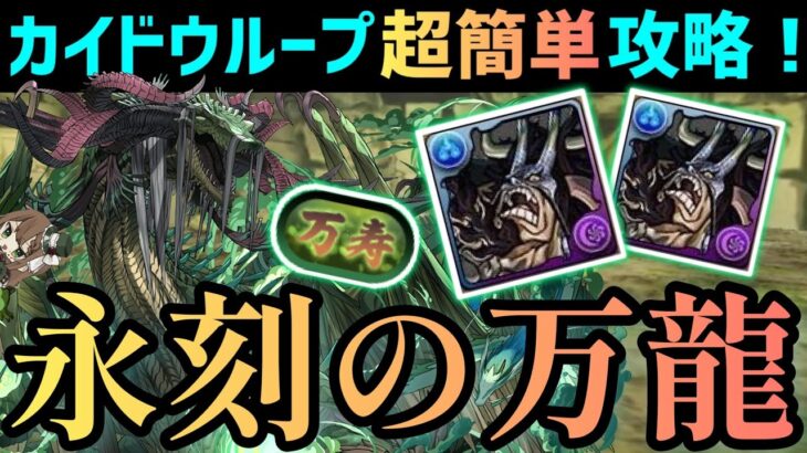 【パズドラ】永刻の万龍！カイドウループ超簡単周回編成！