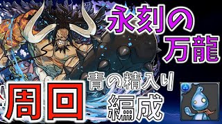 【パズドラ】万寿チャレンジにおいて青の精がぶっ刺さる！完全無欠のカイドウ周回編成！