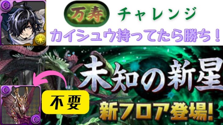 【パズドラ】万寿チャレンジ攻略！パズル苦手な人はカイシュウ超オススメです！