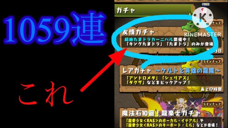 【パズドラ】友情ガチャがカンストしたらしいので、全回ししてみました