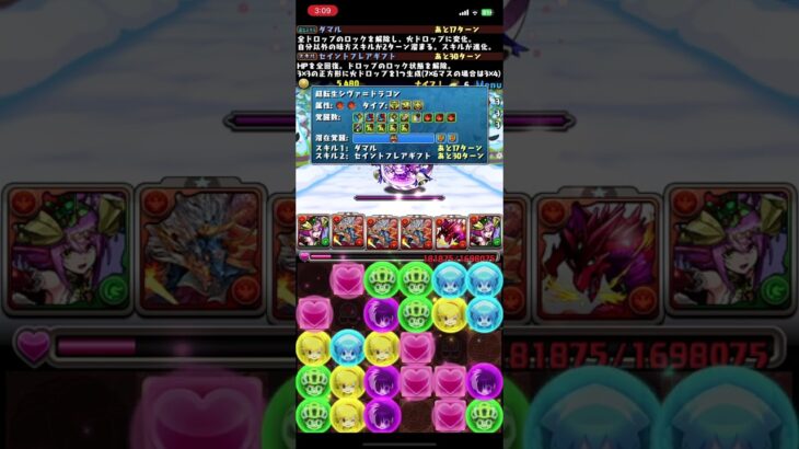 [パズドラ]クリスマスイベント_闘技場のメリークリスマス_シヴァドラ入りクリスマスソニアパ_2人マルチ周回編成[パズル&ドラゴンズ]