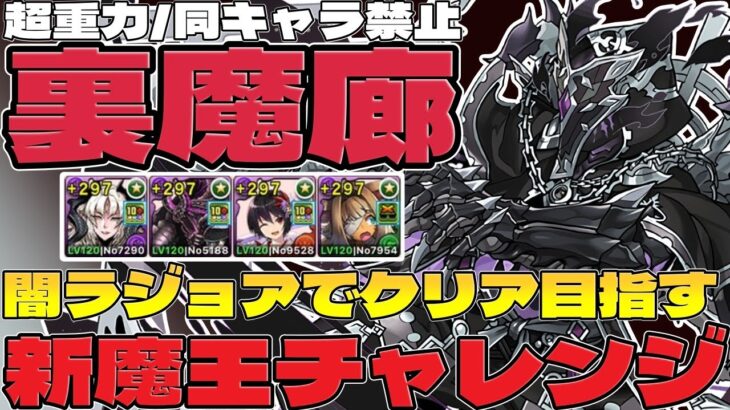 【パズドラ】年末最後の称号チャレンジ！「新魔王」に挑む！【裏魔廊の支配者】