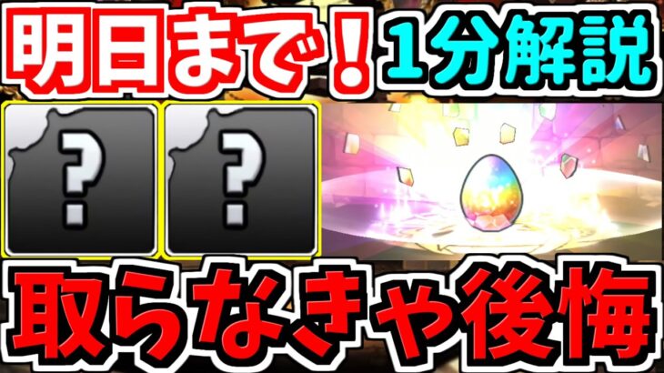 【明日まで】後悔しないためにやるべきこと！1分解説【パズドラ】