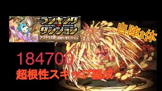 ランキングダンジョン アマテラス杯 超根性スキップ編成 184~