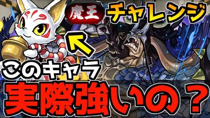 【新魔王チャレンジ】コンタは実際に強いの！？新魔王チャレンジで使ってみた！カイドウ低難易度編成代用＆立ち回り解説！【パズドラ】