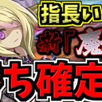 【勝ち確定】指長パズル！新魔王チャレンジ！パンドラ×闇ラジョア編成！代用・立ち回り解説！裏魔廊の支配者【パズドラ】