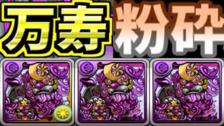 【パズル力不要】ドロ強！Ｗエンハ！ヘイスト！万寿お散歩時代到来！【パズドラ】