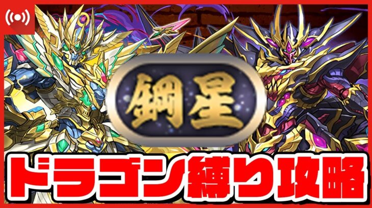 【パズドラドラゴン縛り】『鋼星』チャレンジ！ドラゴン縛りでリベンジマッチ！！！アディショナルタイム