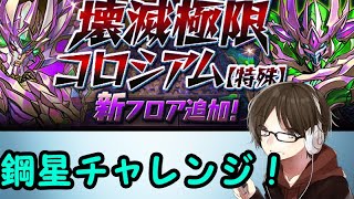 【パズドラ】「鋼星」チャレンジ！って難しいのかな？