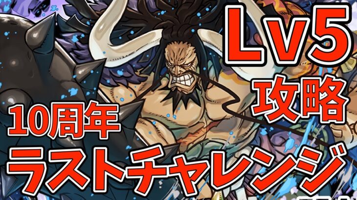 10周年ラストチャレンジLv5をカイドウで攻略！割合ダメージをしっかり対策！【パズドラ】