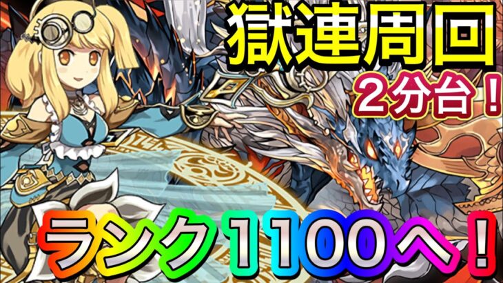 【爆速ランク上げ！】サレーネシヴァドラで目指せランク1100！！【パズドラ】