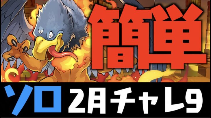 【ソロ】誰でも組める2月チャレ9編成紹介【パズドラ】