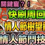 PAD パズドラ 情人節樹望龍 X 濕婆龍 ！原來要打得輕鬆只需要一隻寵？！