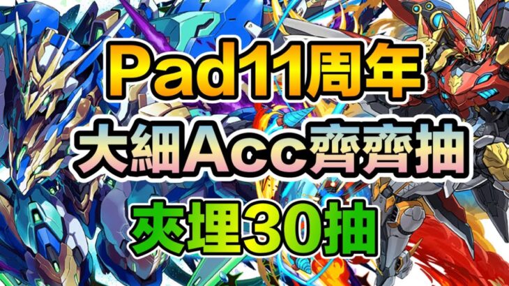 PAD パズドラ pad11周年 大細acc一齊抽！唔貪心 每樣一隻就ok