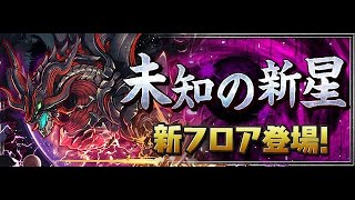 【パズドラ】潰滅の兆龍マルチ