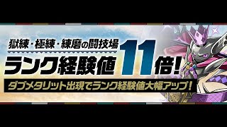 【突然の配信】ランク1000行くまで終われません【パズドラ】